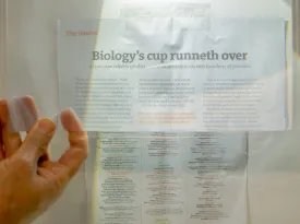 A4 Page-Size Fresnel Magnifier