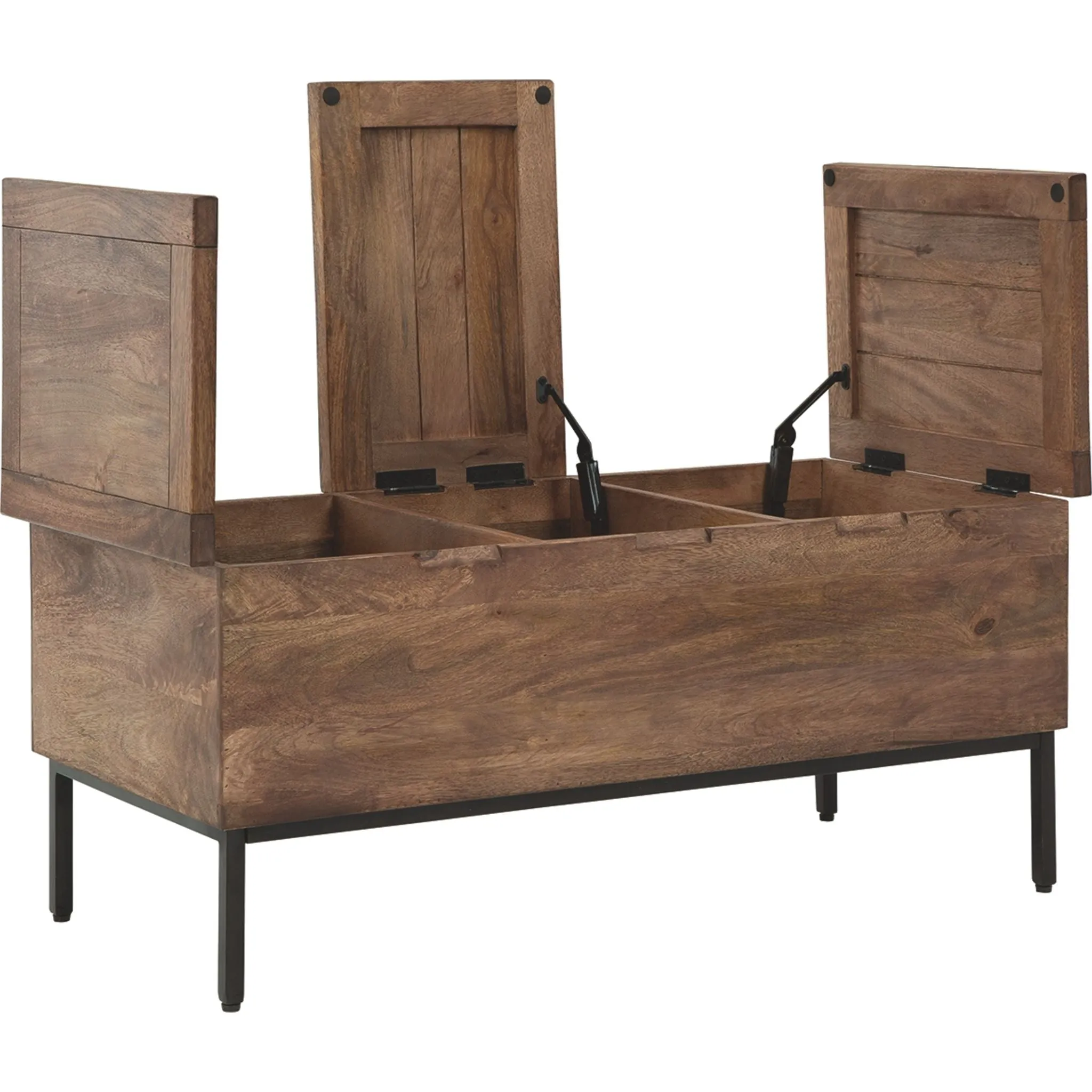 Braddick Trunk