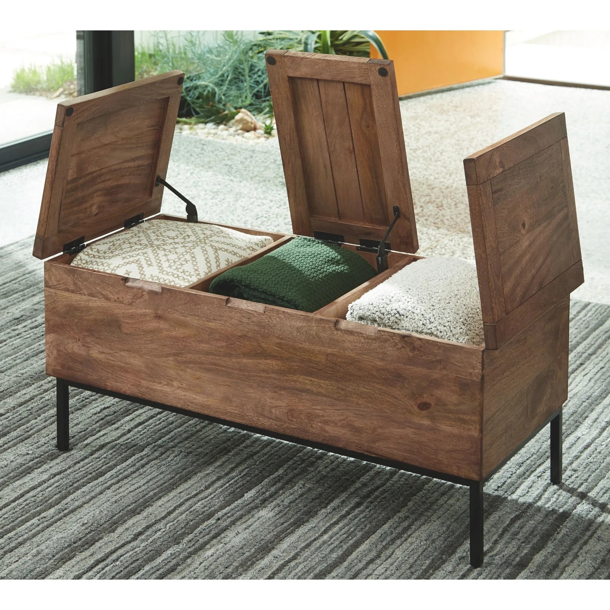 Braddick Trunk