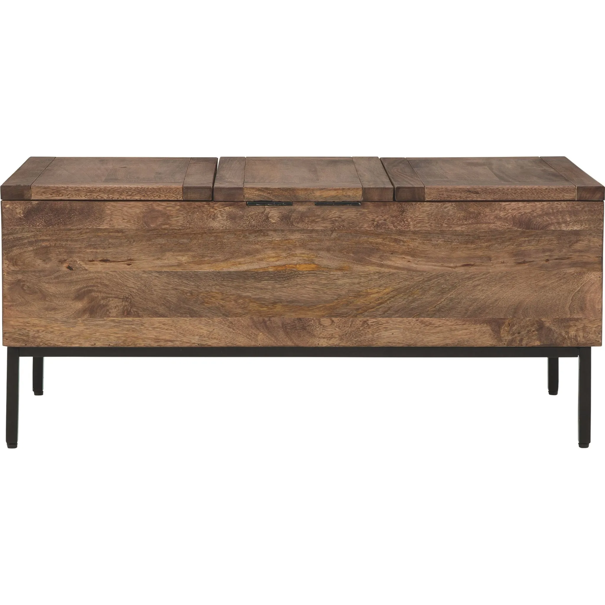 Braddick Trunk