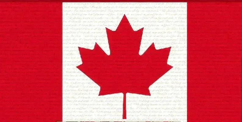 Canada Flag Fabric Panel Quilting Cotton