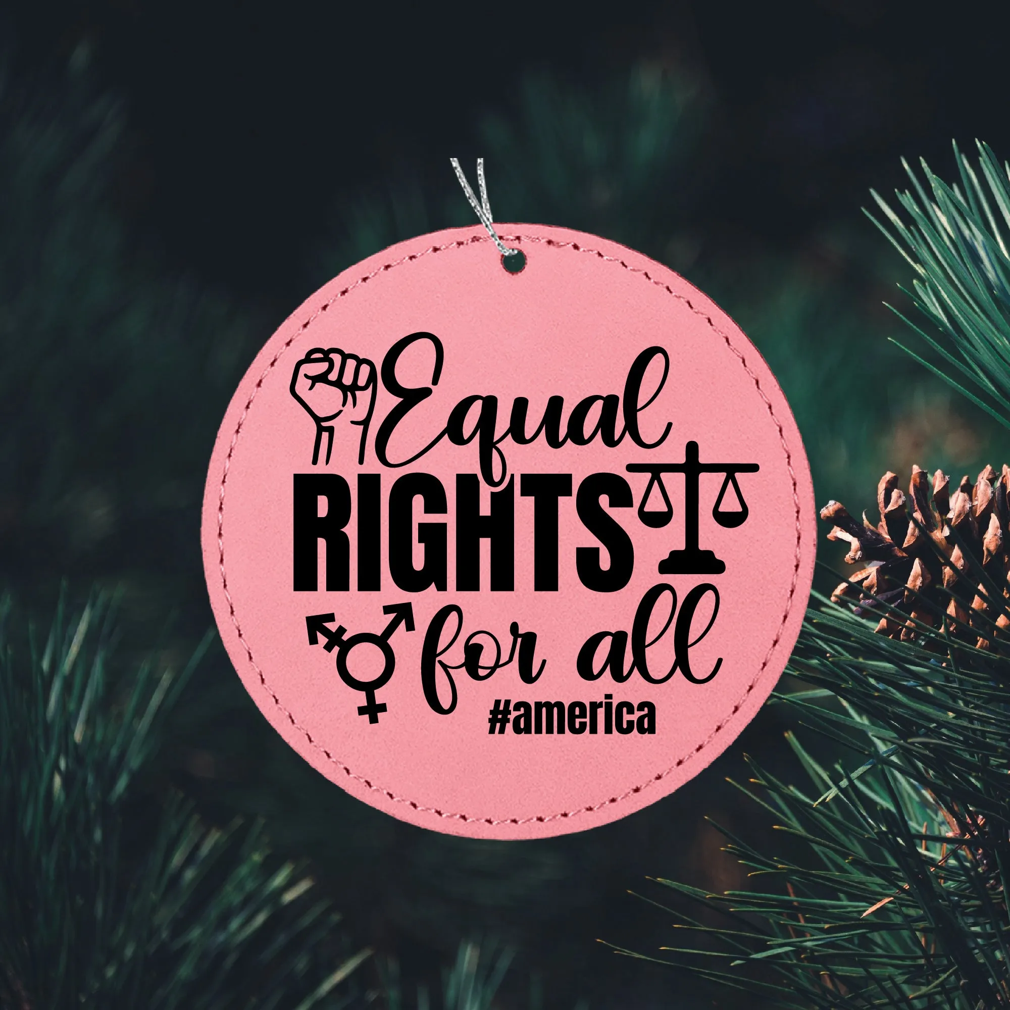 Equal Rights For All Ornament